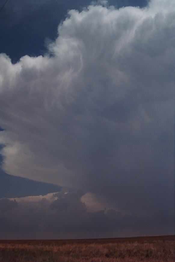 thunderstorm cumulonimbus_incus : Earth, Texas, USA   3 June 2003