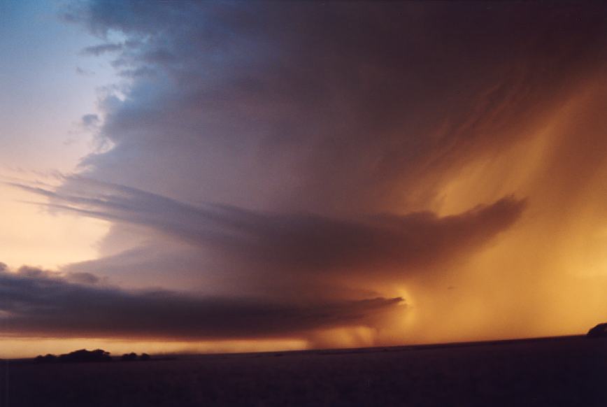 wallcloud thunderstorm_wall_cloud : near Levelland, Texas, USA   3 June 2003