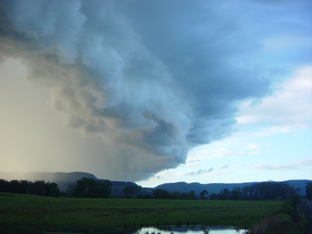 contributions received : Berry, NSW<BR>Photo by Andrew Veitch   4 June 2003