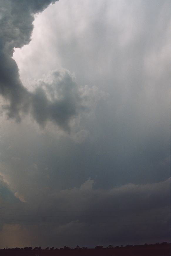 cumulonimbus supercell_thunderstorm : near Olney, Texas, USA   12 June 2003