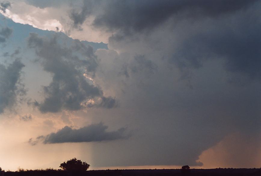 cumulonimbus supercell_thunderstorm : E of Newcastle, Texas, USA   12 June 2003