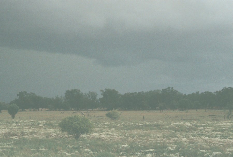 contributions received : W of Cobar, NSW<BR>Photo by Brett Vilnis   1 October 2003