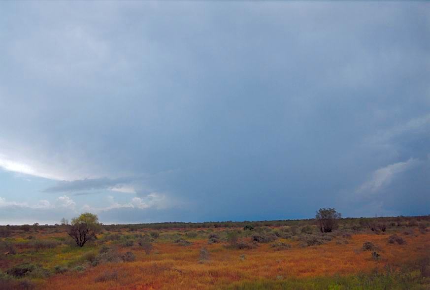 thunderstorm cumulonimbus_incus : Wilcannia, NSW   1 October 2003