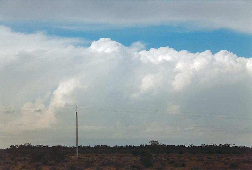 thunderstorm cumulonimbus_incus : Wilcannia, NSW   1 October 2003