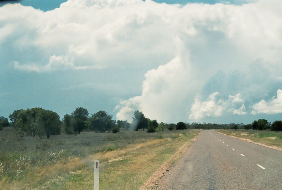 contributions received : E of Walgett, NSW<BR>Photo by Brett Vilnis   2 October 2003