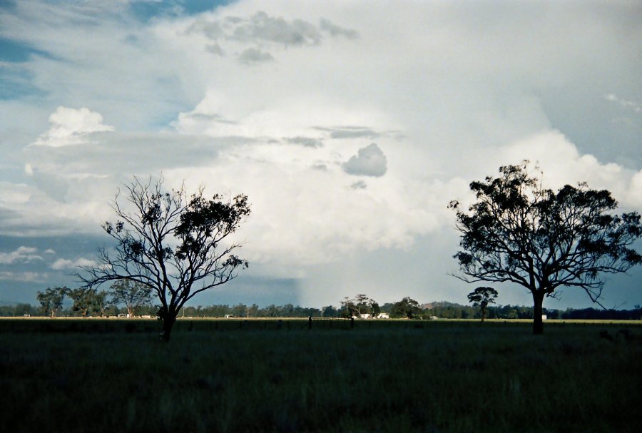 contributions received : N of Gunnedah, NSW<BR>Photo by Brett Vilnis   2 October 2003