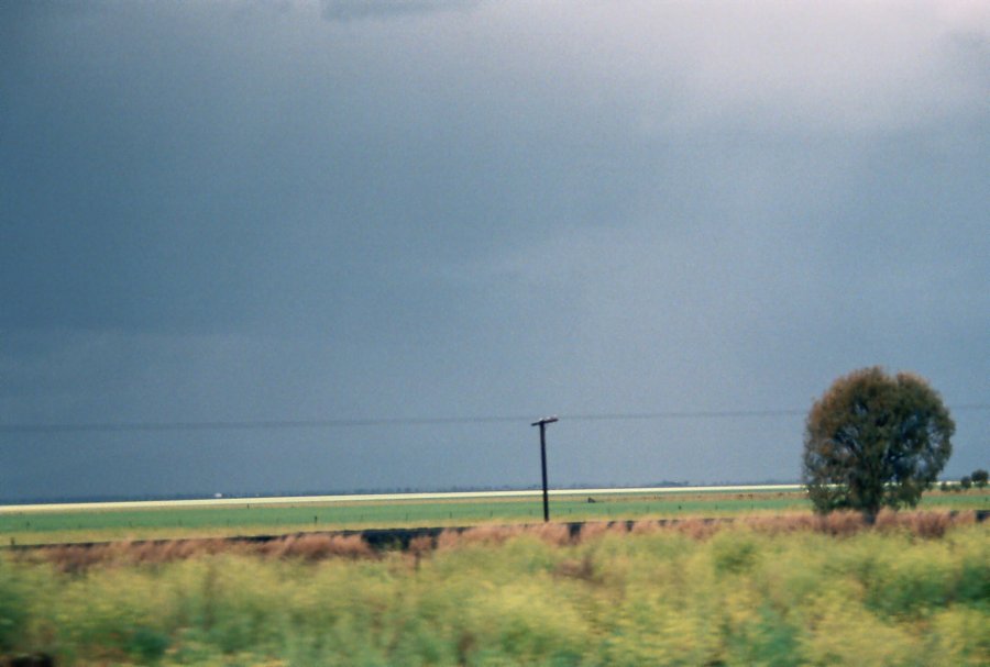 contributions received : N of Gunnedah, NSW<BR>Photo by Brett Vilnis   2 October 2003