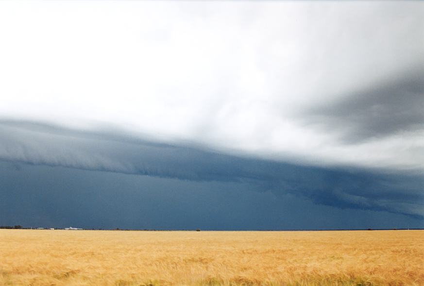 shelfcloud shelf_cloud : Moree, NSW   2 October 2003