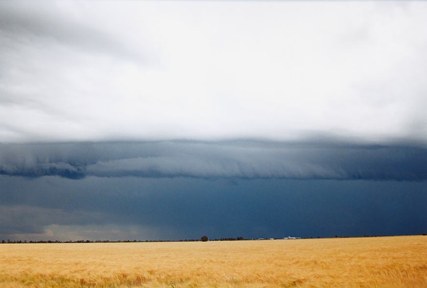 shelfcloud shelf_cloud : Moree, NSW   2 October 2003