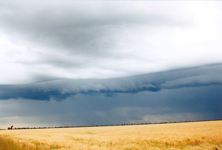 cumulonimbus thunderstorm_base : Moree, NSW   2 October 2003