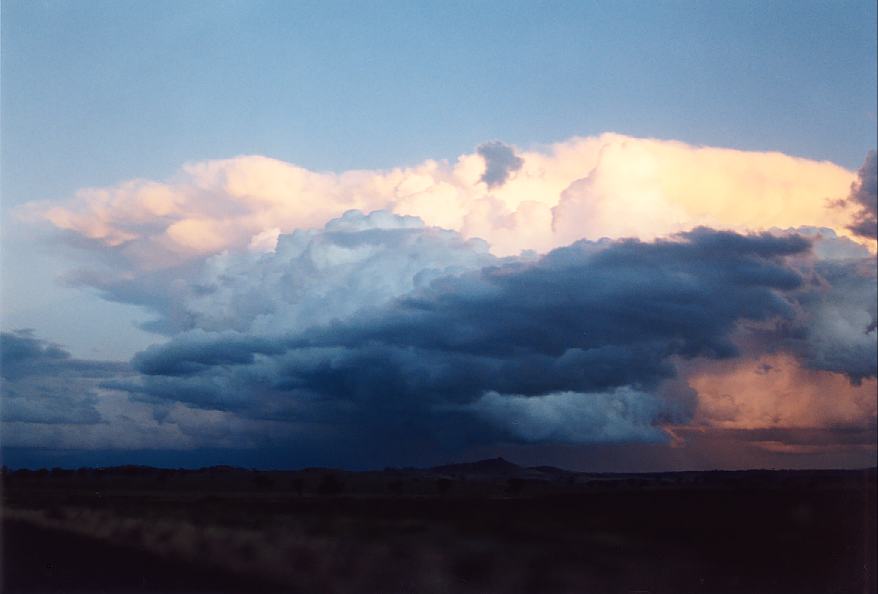 cumulus congestus : near Manilla, NSW   2 October 2003