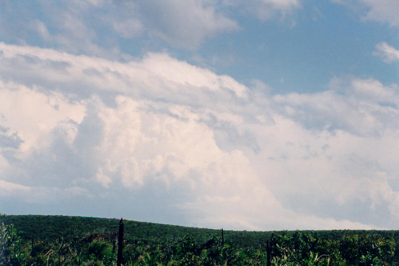 updraft thunderstorm_updrafts : Woodburn, NSW   10 October 2003