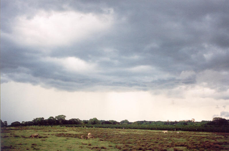 cumulonimbus thunderstorm_base : Meerschaum, NSW   16 October 2003