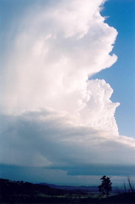 wallcloud thunderstorm_wall_cloud : Meerschaum, NSW   20 October 2003