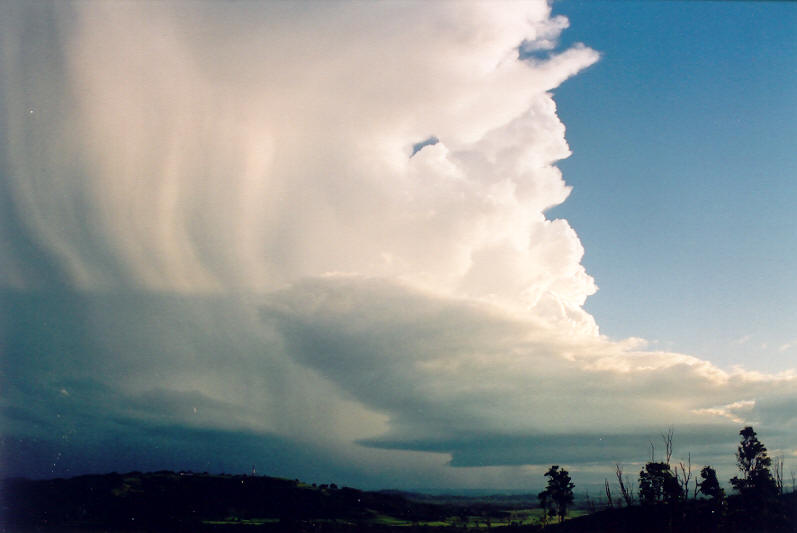 wallcloud thunderstorm_wall_cloud : Meerschaum, NSW   20 October 2003