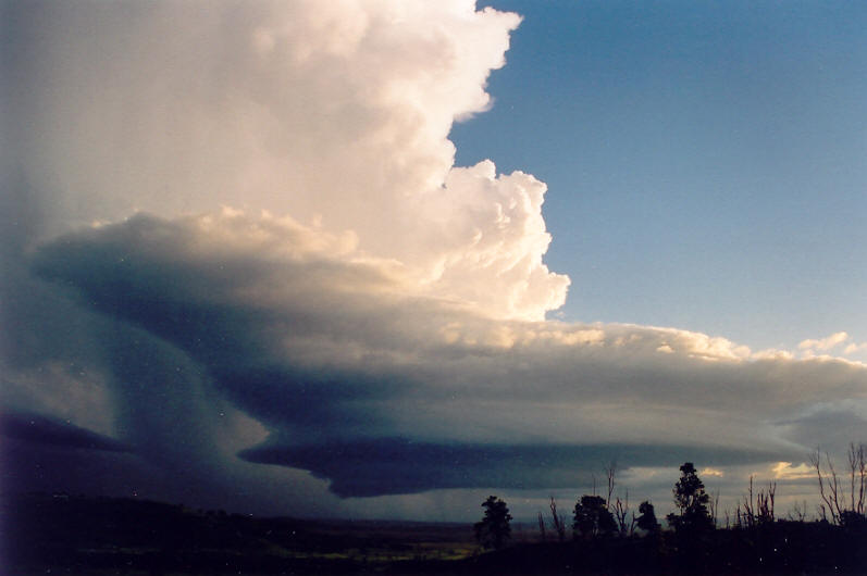 wallcloud thunderstorm_wall_cloud : Meerschaum, NSW   20 October 2003