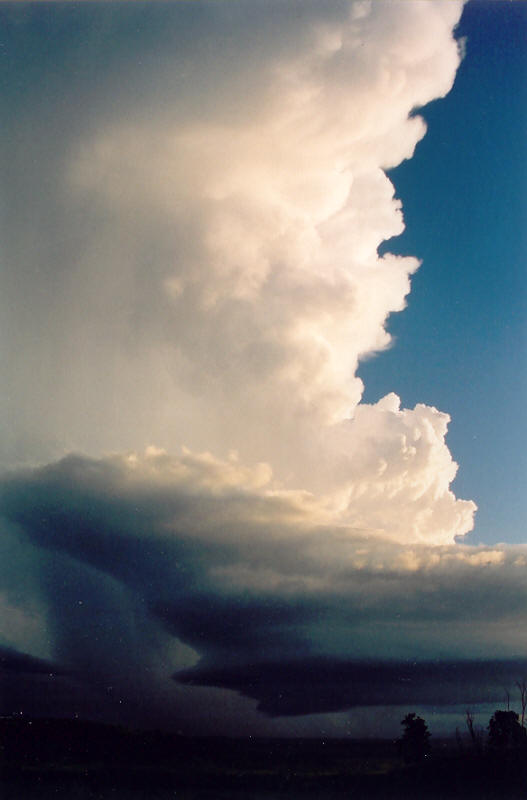 thunderstorm cumulonimbus_incus : Meerschaum, NSW   20 October 2003