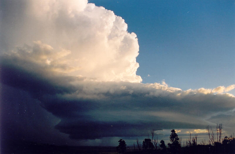 wallcloud thunderstorm_wall_cloud : Meerschaum, NSW   20 October 2003