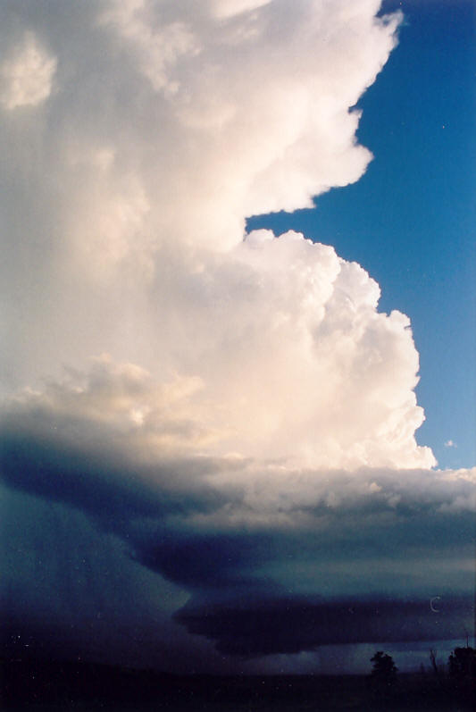 wallcloud thunderstorm_wall_cloud : Meerschaum, NSW   20 October 2003