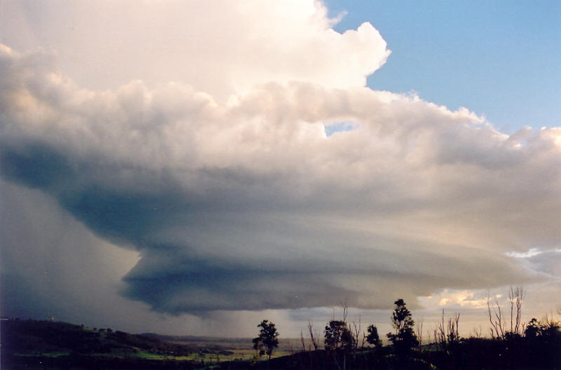 wallcloud thunderstorm_wall_cloud : Meerschaum, NSW   20 October 2003