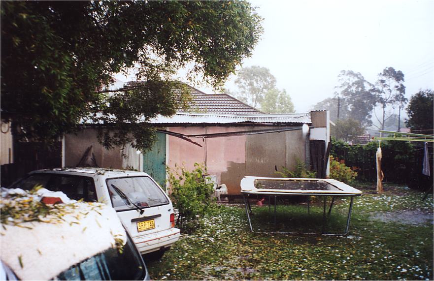 contributions received : Riverstone, NSW<BR>Photo by Christine Cawsey   25 October 2003