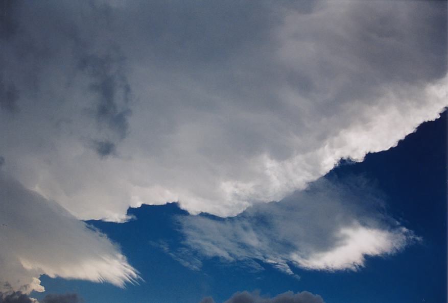 anvil thunderstorm_anvils : Schofields, NSW   25 October 2003