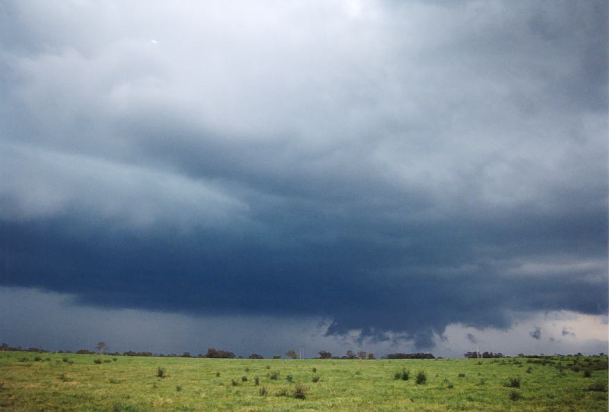 cumulonimbus thunderstorm_base : Richmond, NSW   25 October 2003