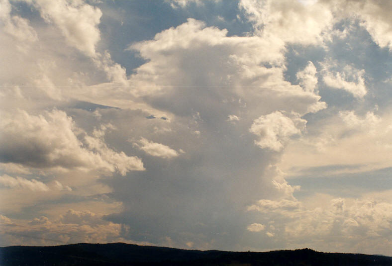 thunderstorm cumulonimbus_incus : Mummulgum, NSW   25 October 2003