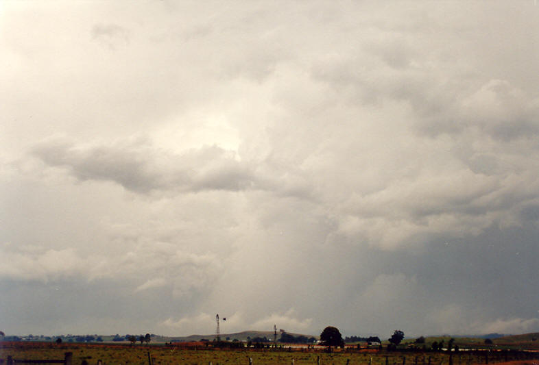 raincascade precipitation_cascade : McLeans Ridges, NSW   26 October 2003