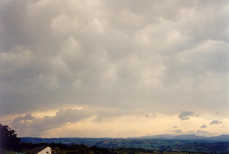 mammatus mammatus_cloud : McLeans Ridges, NSW   26 October 2003