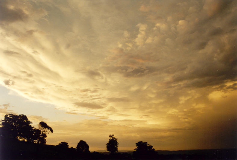 mammatus mammatus_cloud : McLeans Ridges, NSW   12 November 2003