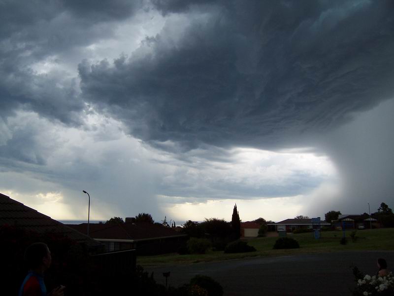 contributions received : Hallett Cove, SA<BR>Photo by Sharon Hayes   19 November 2003