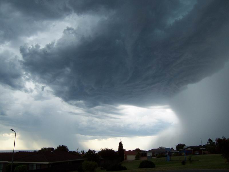 contributions received : Hallett Cove, SA<BR>Photo by Sharon Hayes   19 November 2003