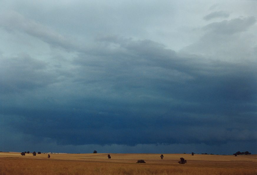 cumulonimbus thunderstorm_base : Temora, NSW   21 November 2003