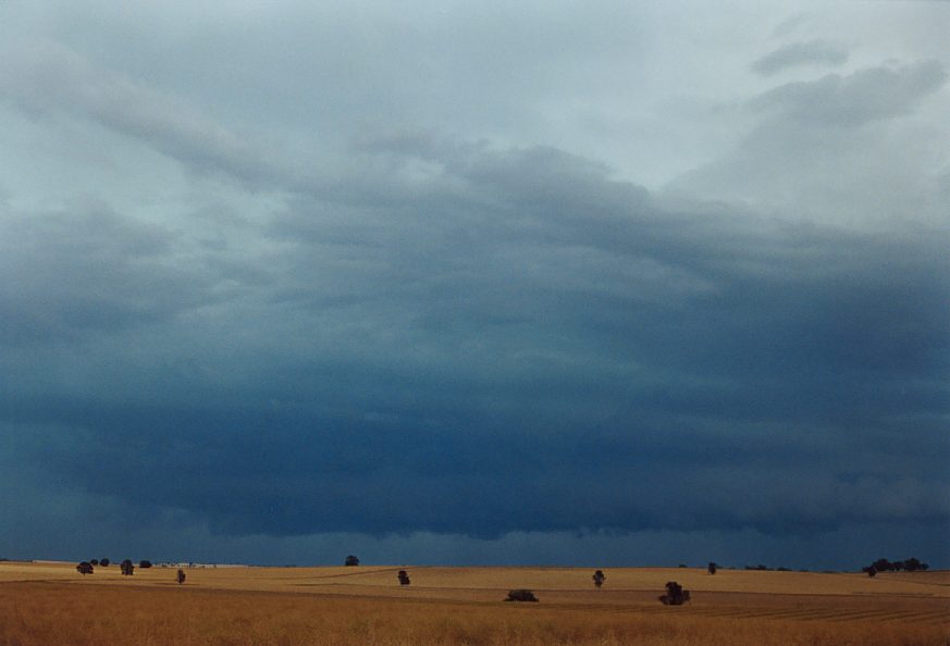 wallcloud thunderstorm_wall_cloud : Temora, NSW   21 November 2003