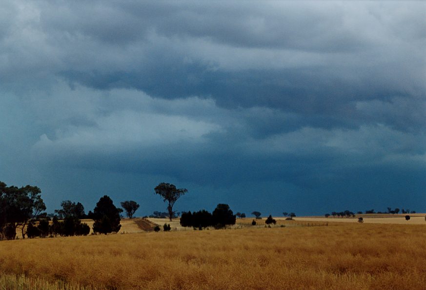 cumulonimbus thunderstorm_base : Temora, NSW   21 November 2003