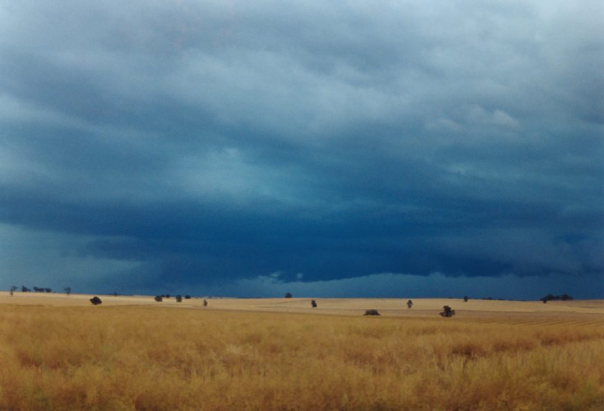 wallcloud thunderstorm_wall_cloud : Temora, NSW   21 November 2003