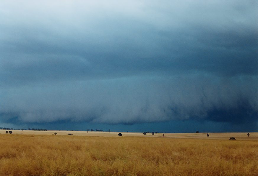 shelfcloud shelf_cloud : Temora, NSW   21 November 2003