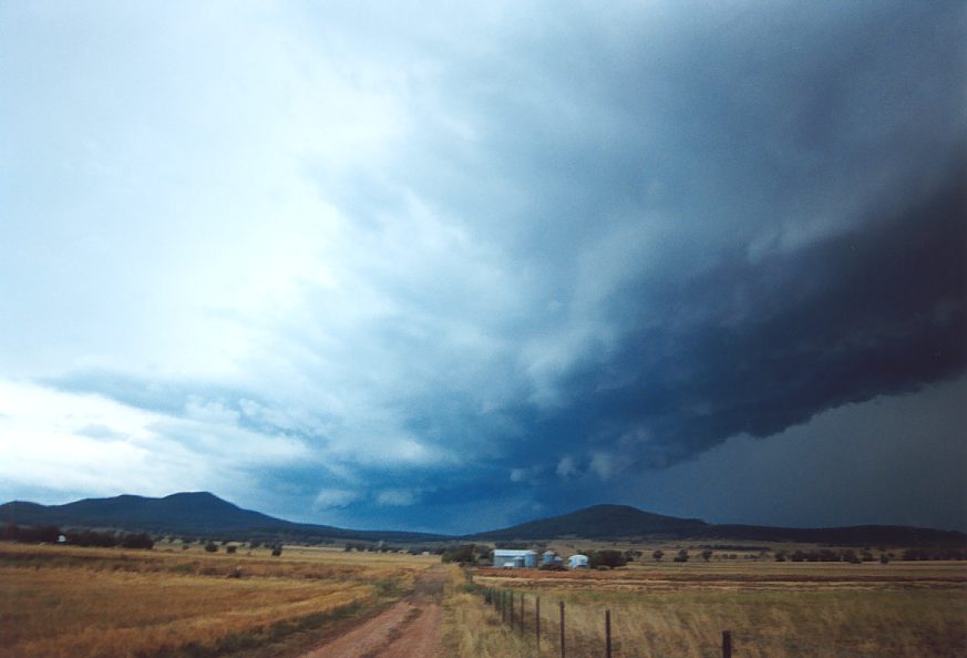 cumulonimbus thunderstorm_base : E of Mullaley, NSW   22 November 2003