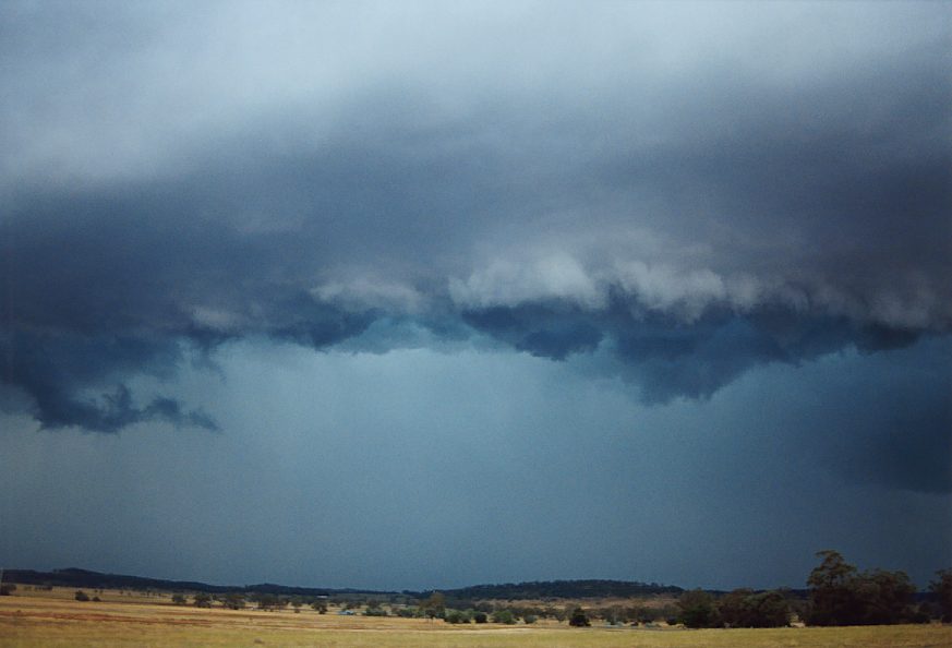 cumulonimbus thunderstorm_base : E of Mullaley, NSW   22 November 2003