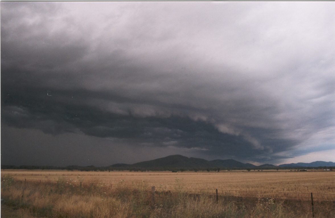 contributions received : near Gunnedah, NSW<BR>Photo by Maarten Brandt   22 November 2003