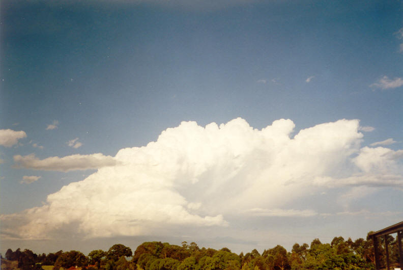 thunderstorm cumulonimbus_incus : McLeans Ridges, NSW   23 November 2003