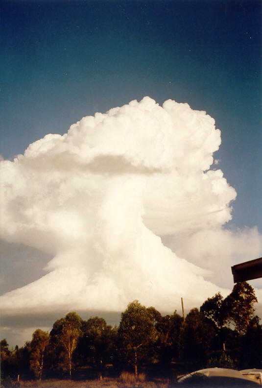 thunderstorm cumulonimbus_incus : McLeans Ridges, NSW   23 November 2003