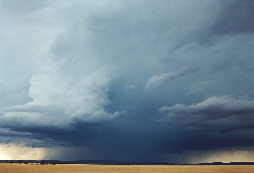 raincascade precipitation_cascade : N of Griffith, NSW   1 December 2003