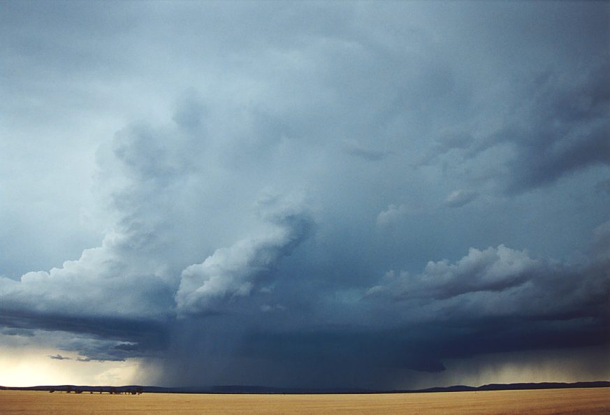 cumulonimbus thunderstorm_base : N of Griffith, NSW   1 December 2003