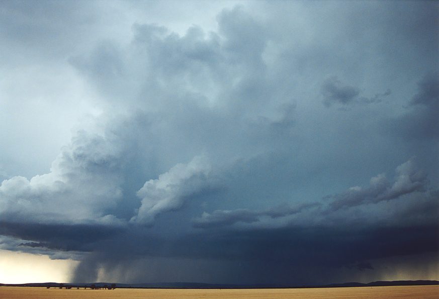 updraft thunderstorm_updrafts : N of Griffith, NSW   1 December 2003