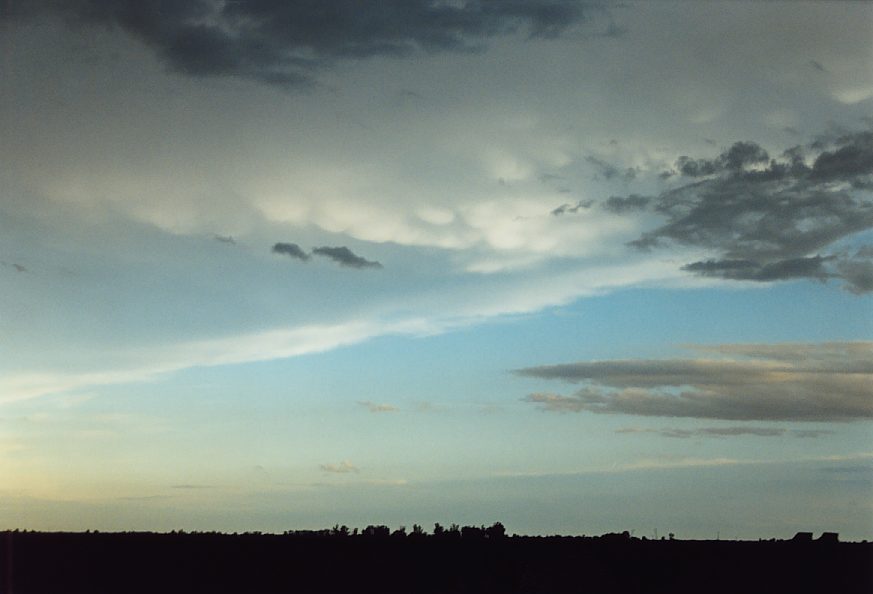 mammatus mammatus_cloud : south Griffith, NSW   1 December 2003