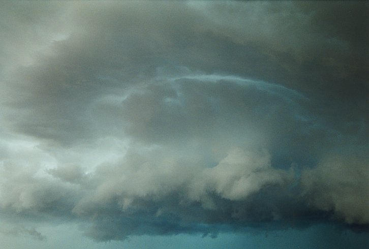 cumulonimbus thunderstorm_base : N of Hay, NSW   2 December 2003