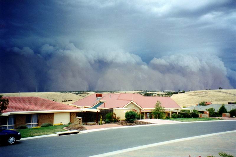 contributions received : Golden Grove, SA<BR>Photo by Cliff Beale   1 January 2004