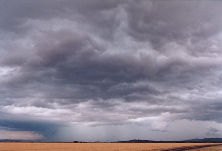 contributions received : SW of Quirindi, NSW<BR>Photo by Geoff Thurtell   10 January 2004